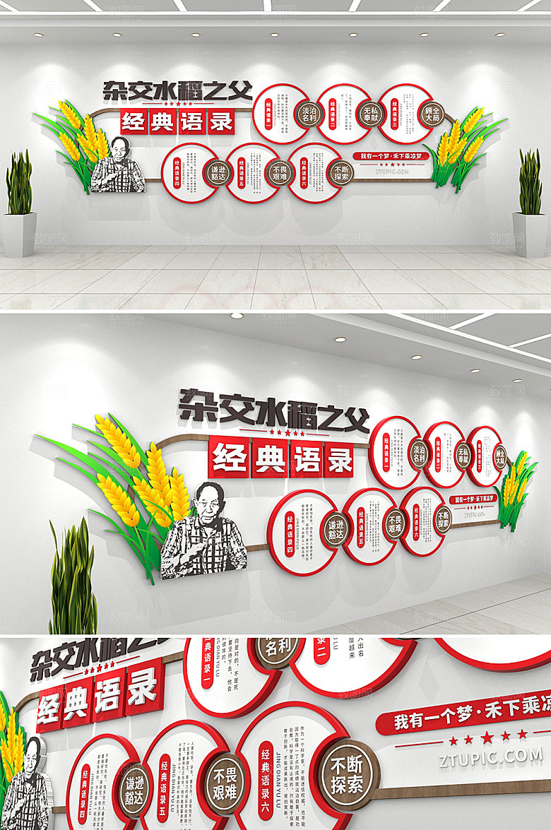 大气杂交水稻之父经典语录文化墙设计