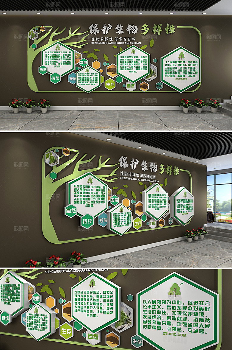 圆圈保护生物多样性公约文化墙设计
