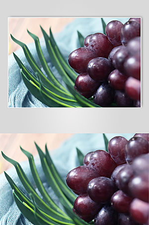 精美水果摄影葡萄照片手机壁纸图片