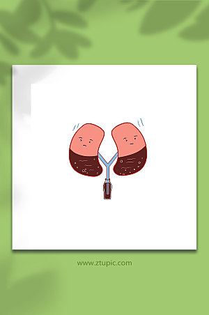趣味性肾器官插画设计