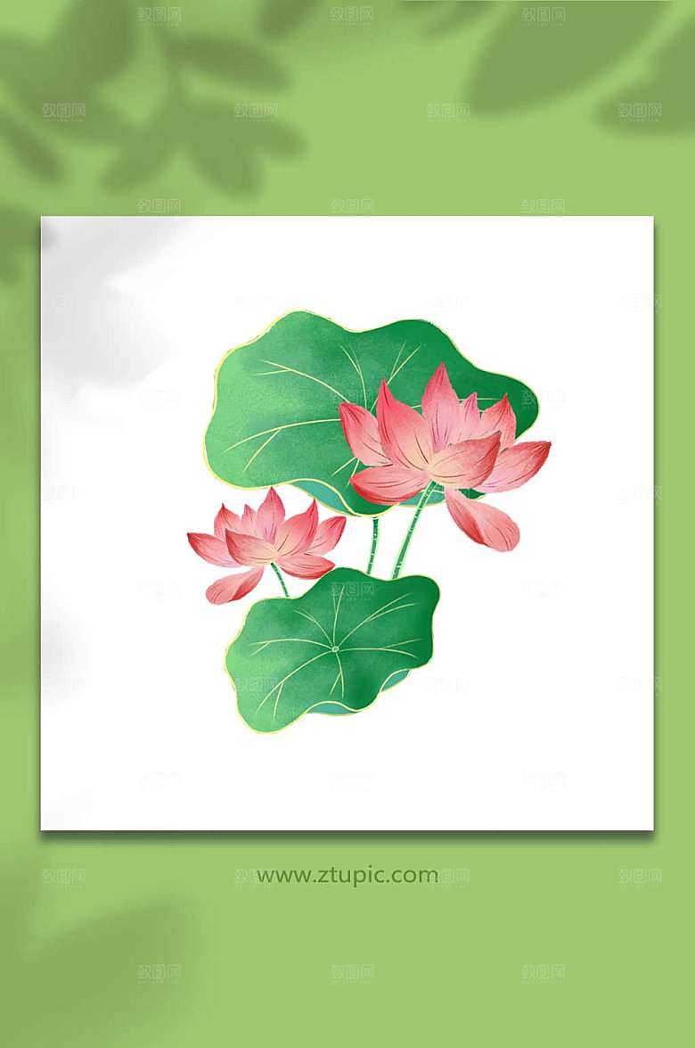 荷花民国风插画元素