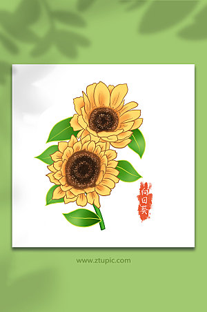 夏日花卉向日葵手绘插画设计