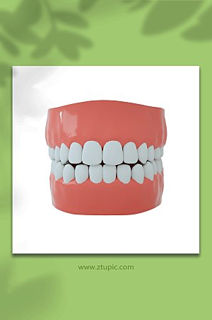 医疗牙科正面牙齿C4D模型