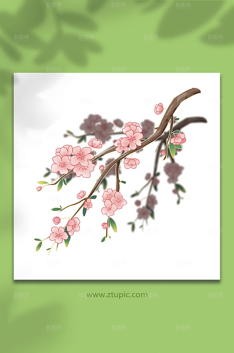 桃花繁花盛开花卉元素插画设计