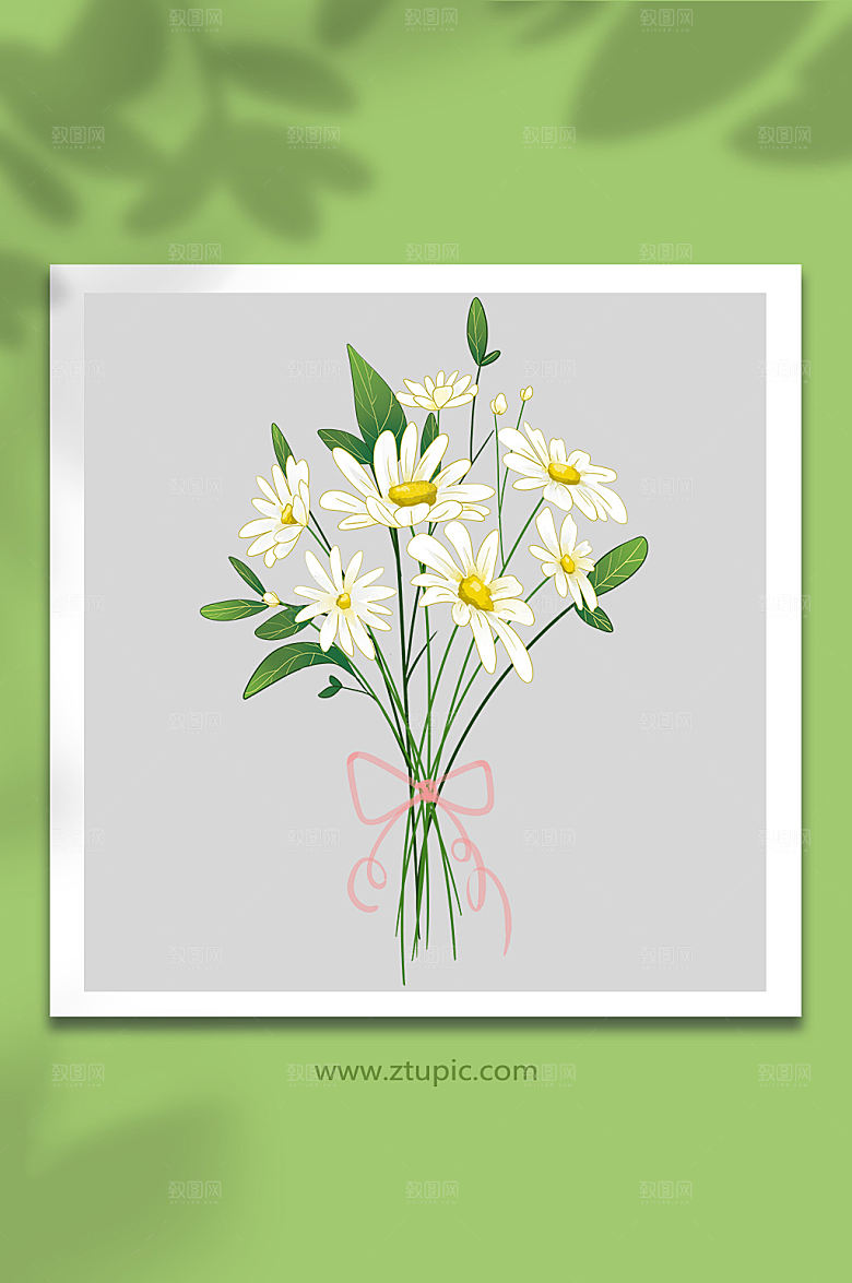 菊花夏季花卉素插画设计