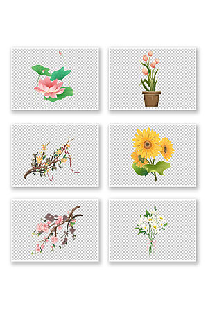 夏日花朵花束夏季花卉插画元素