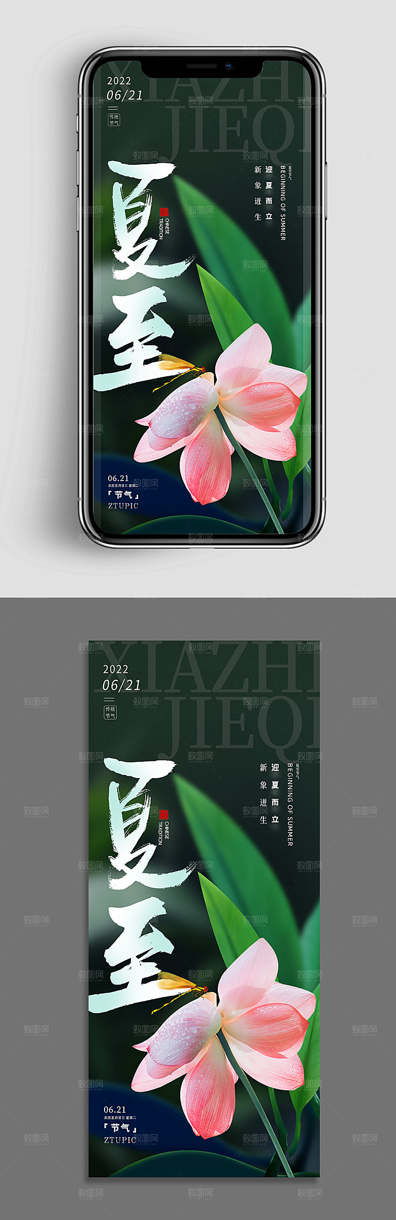 夏至传统二十四节气海报设计