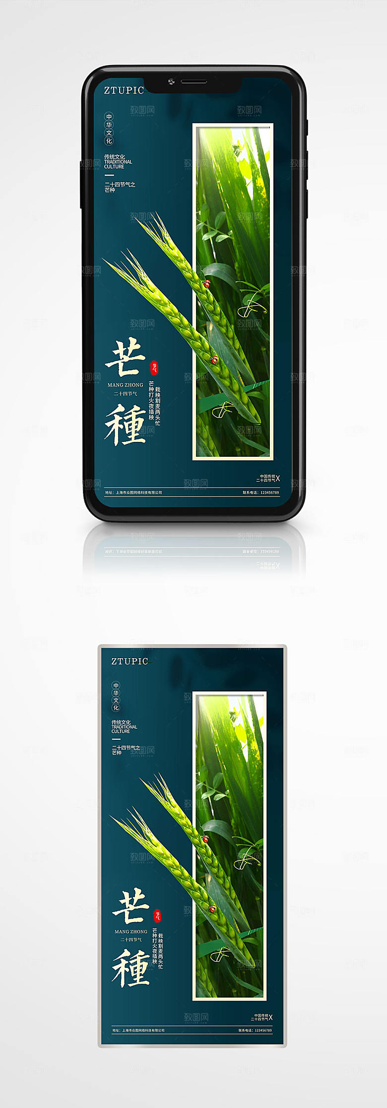 芒种二十四节气促销海报展板设计