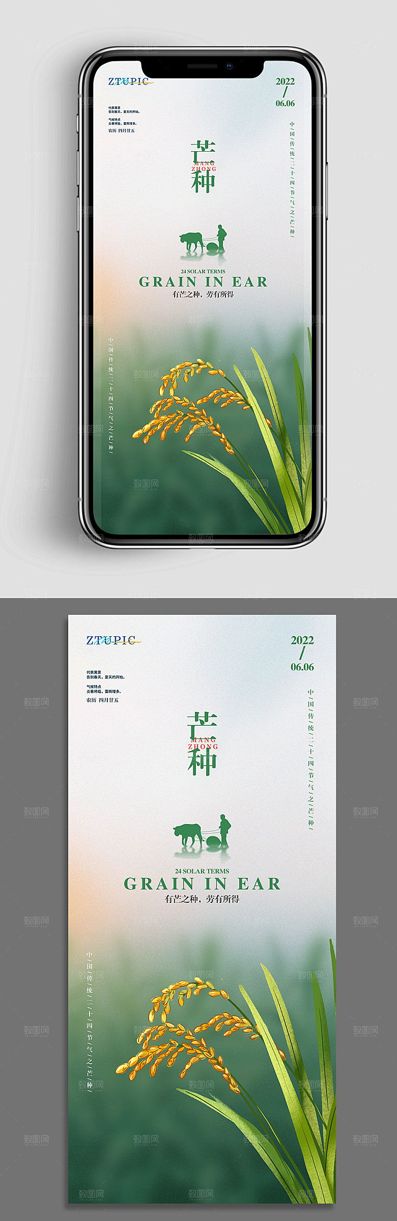 芒种气手机壁纸ui初夏海报