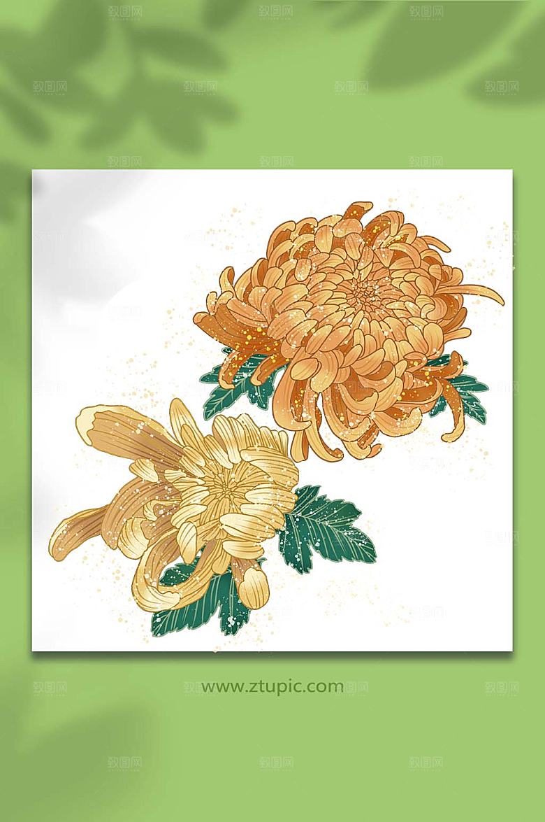 新国风菊花装饰插画设计