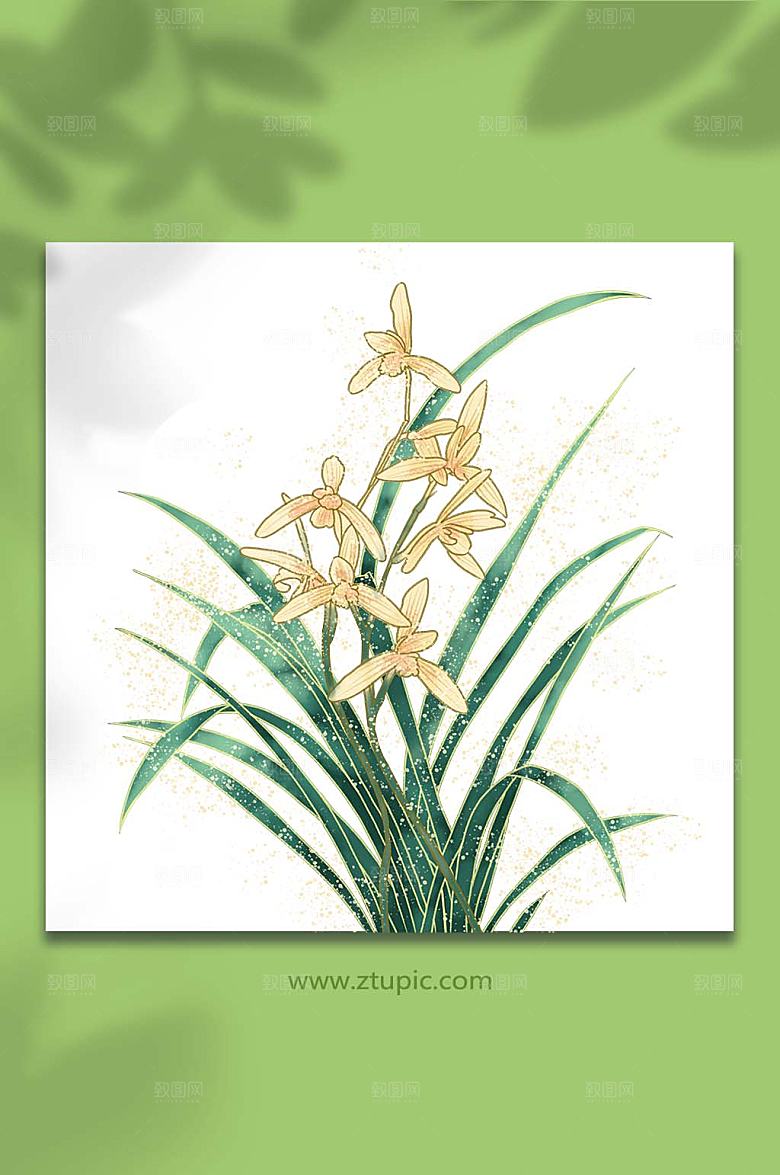 工笔兰花国风插画设计