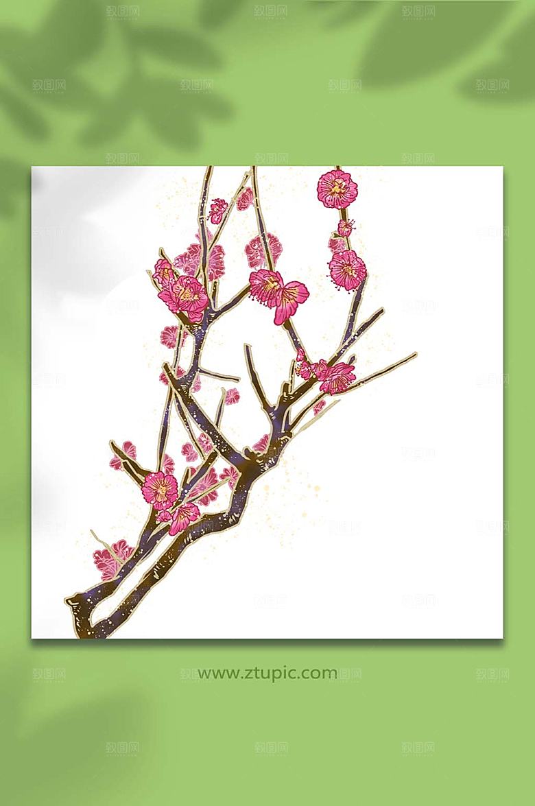 国风梅花工笔装饰插画设计