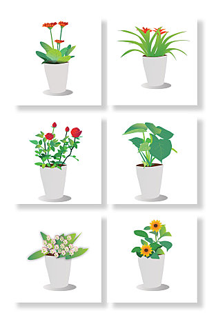 植物盆栽插画