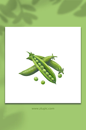 豌豆蔬菜元素插画设计