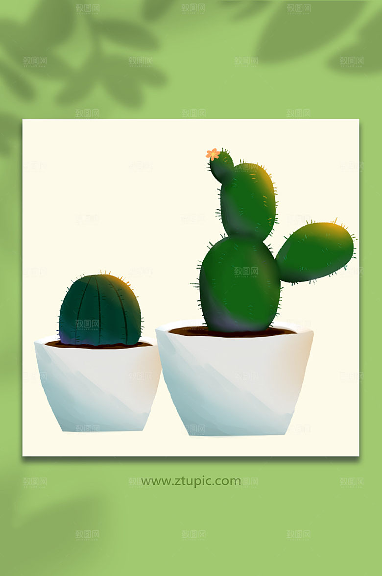 卡通仙人掌植物盆栽元素设计插画