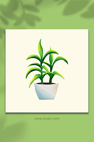 写实竹子绿色植物盆栽元素设计插画