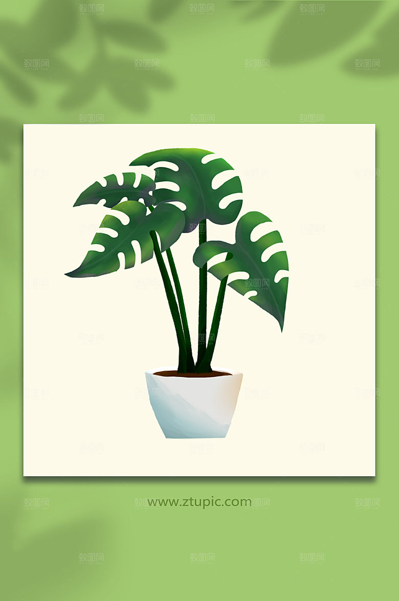 龟背竹绿色植物盆栽元素插画设计