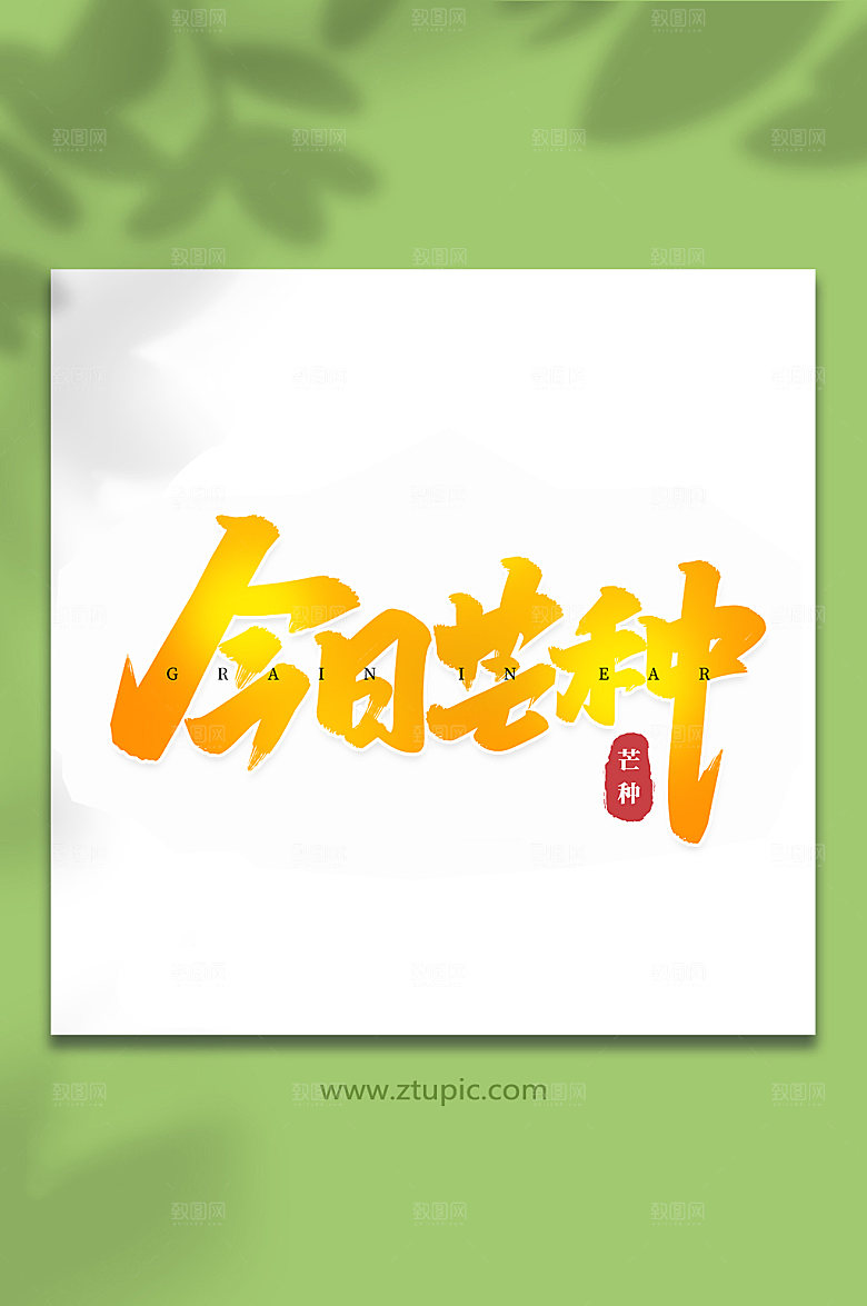 今日芒种气艺术字
