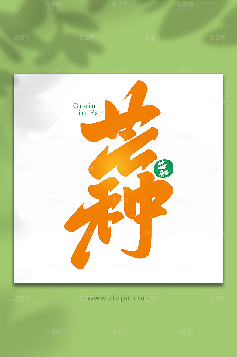 芒种手写节气艺术字设计
