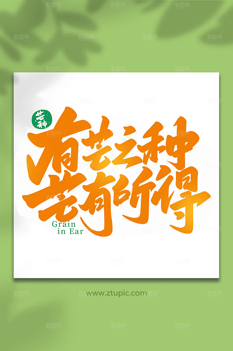有芒之种芒有所得艺术字