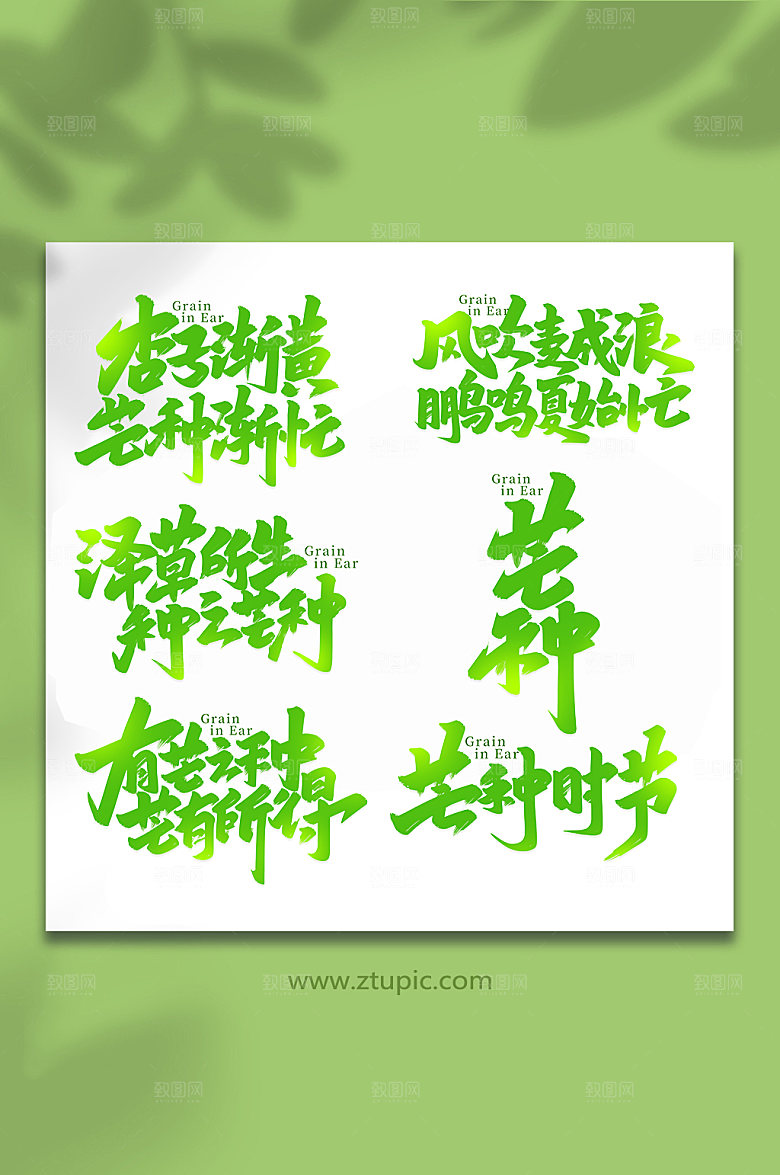 芒种汇总节气艺术字