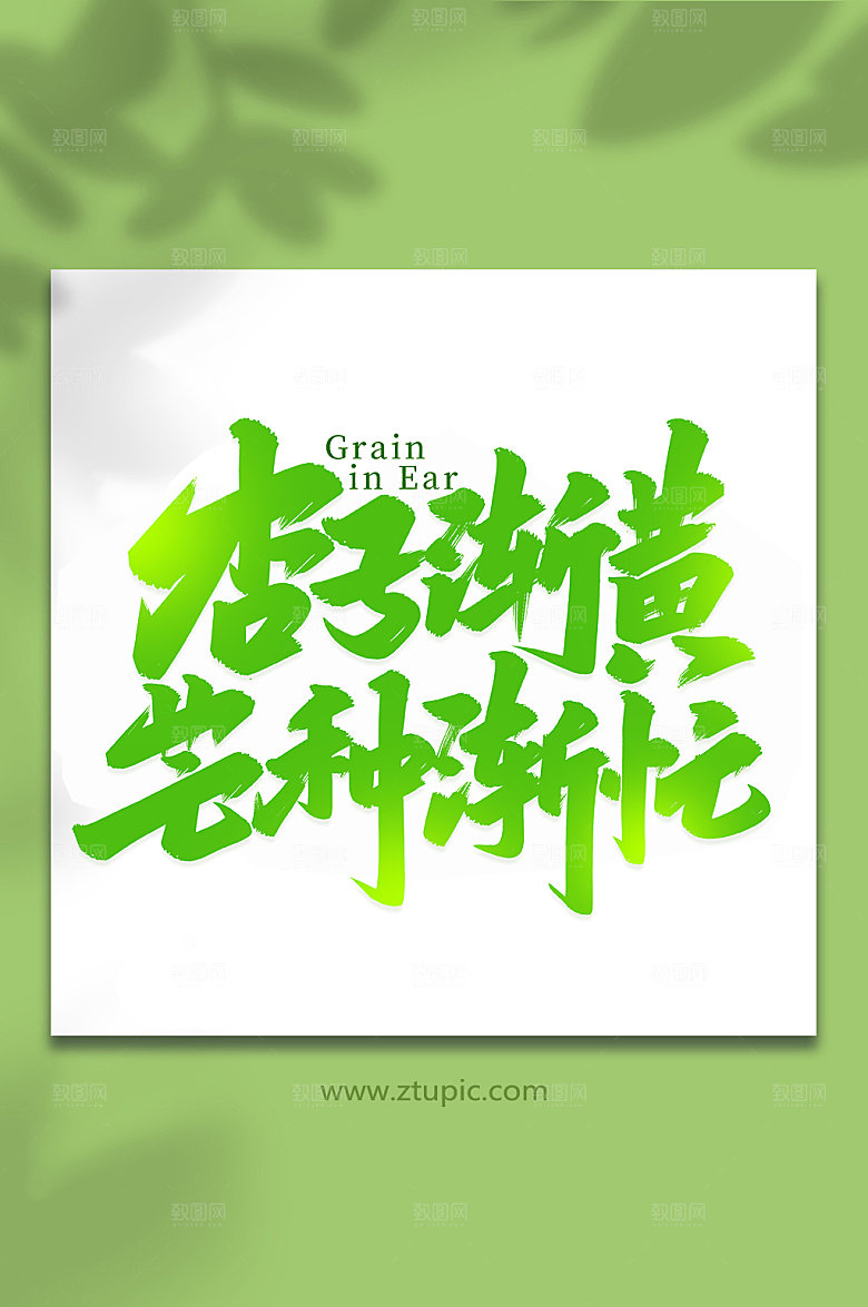 杏子渐黄芒种渐忙艺术字