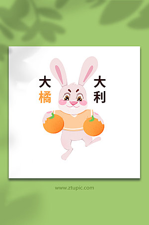 扁平大吉大利兔子动物设计插画