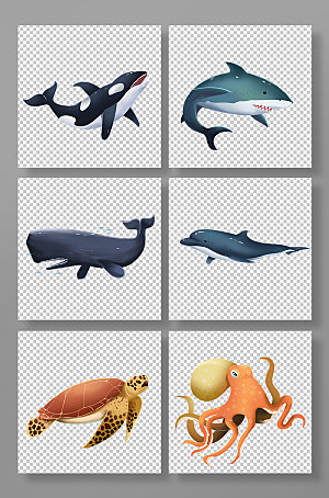 写实鲸鱼海豚海底动物设计插画