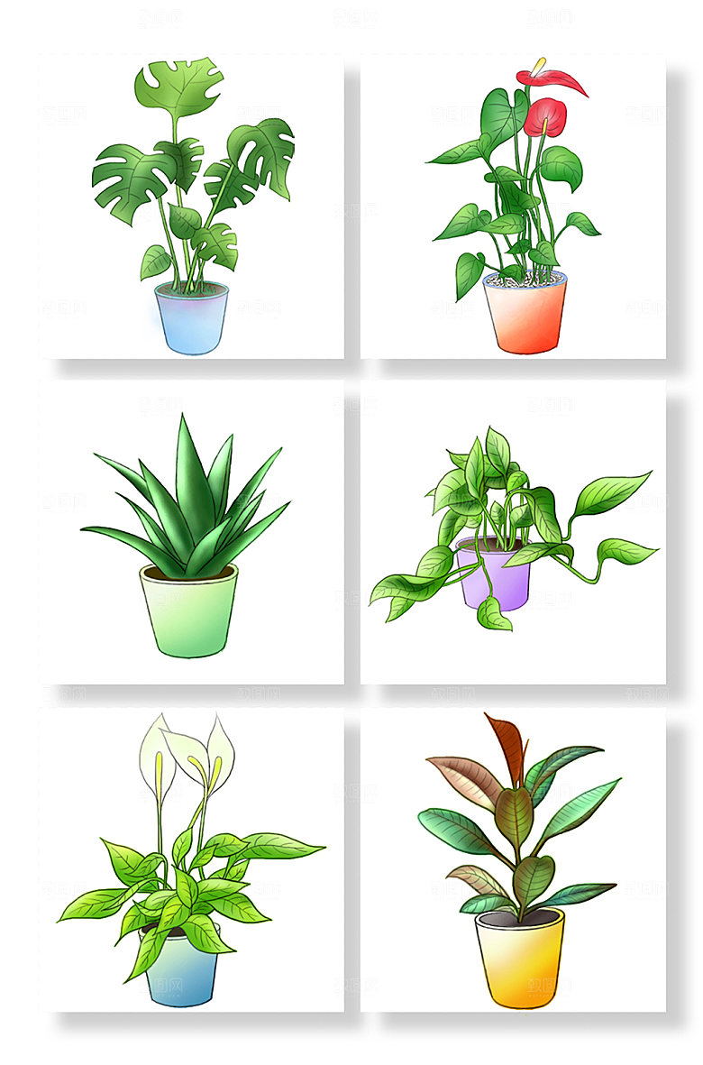 手绘扁平绿色植物盆栽设计插画