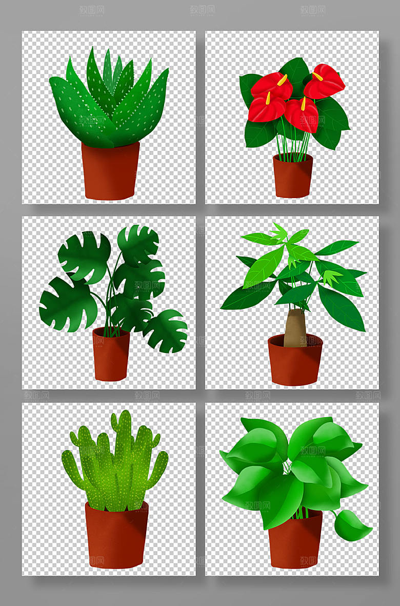 手绘芦荟绿箩仙人掌绿植设计插画