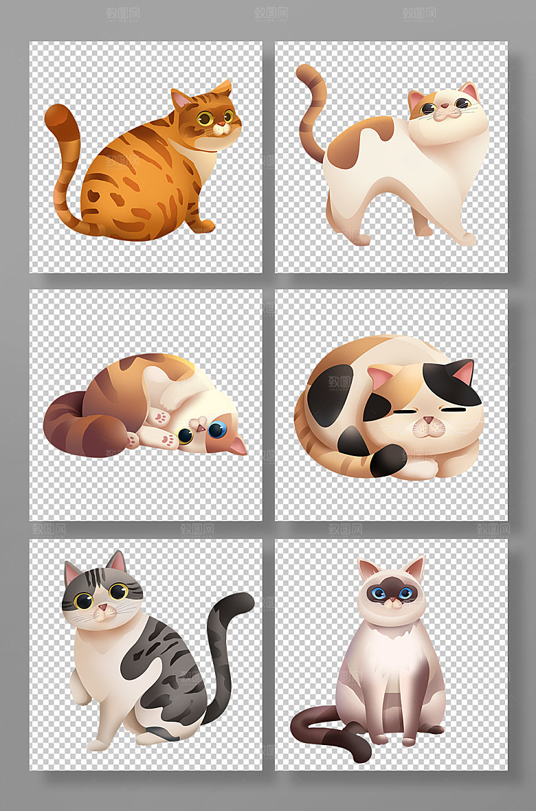 写实猫咪宠物猫狗插画设计