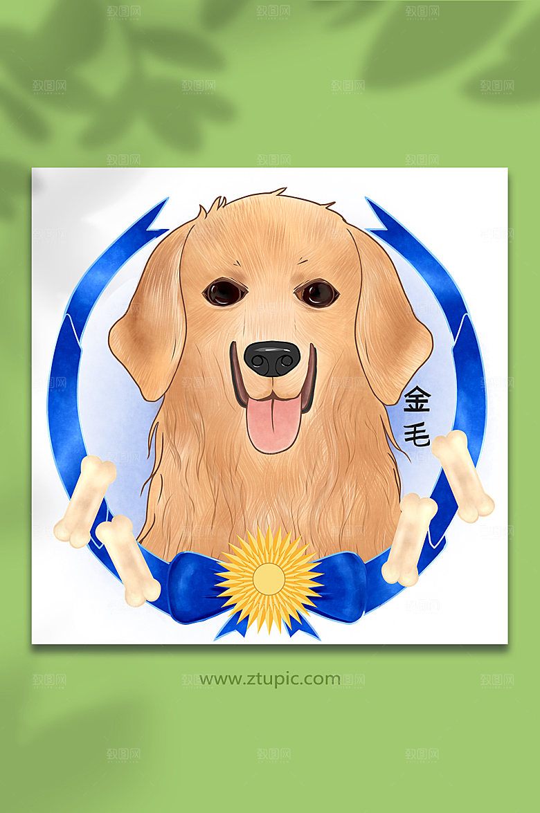 扁平金毛头像宠物狗插画设计