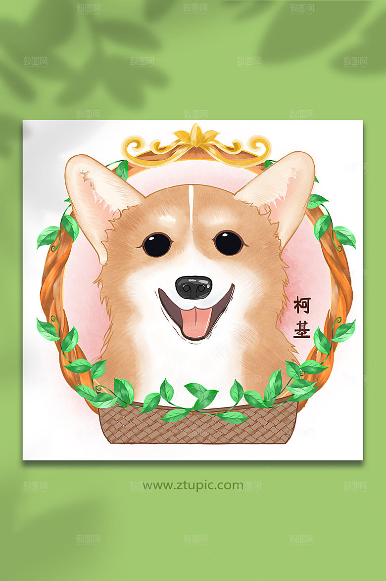 手绘柯基头像宠物狗设计插画