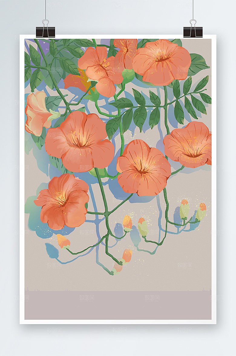 凌霄花背景节气插画
