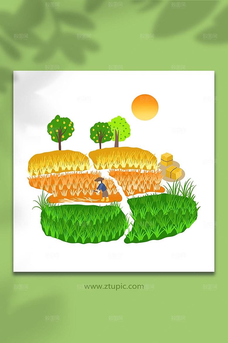 卡通麦穗大米粮食米饭插画设计