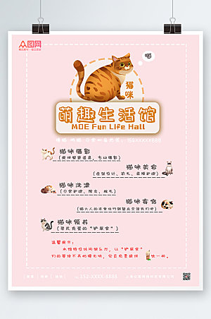 清新猫咪生活馆萌宠美容海报设计