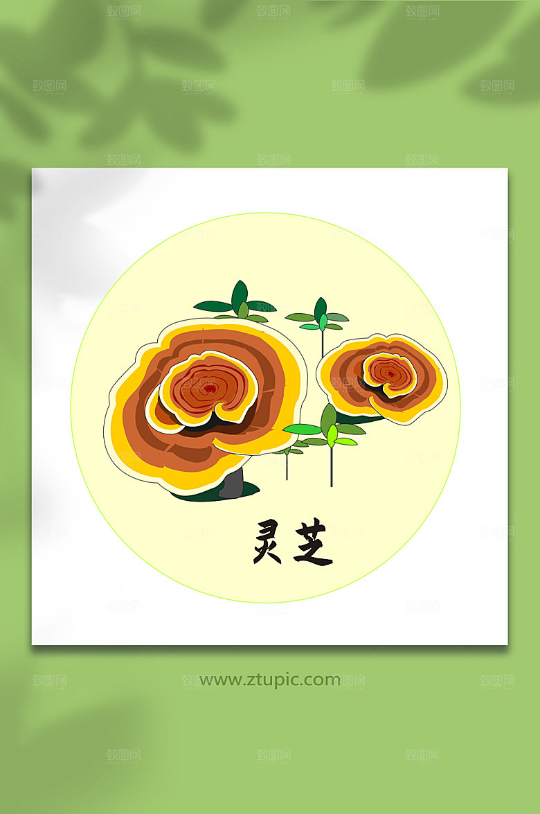 卡通灵芝中医药元素插画设计