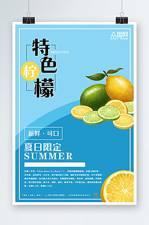 清新新鲜柠檬水果海报模板