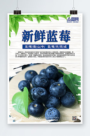 简约蓝莓新鲜水果海报模板