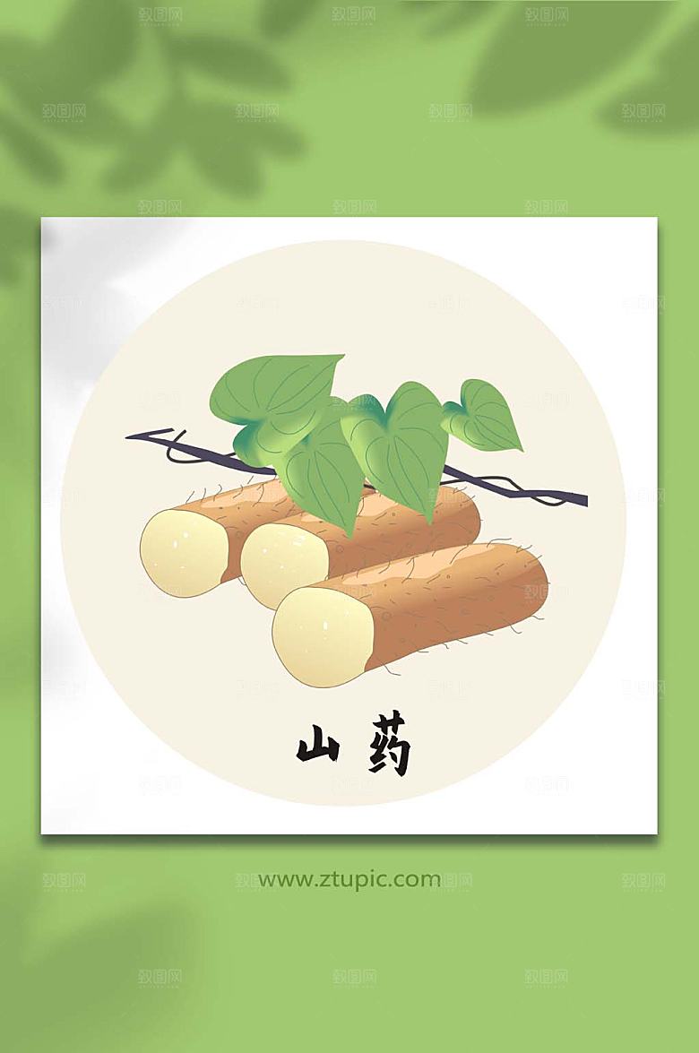 卡通山药中医药材元素插画设计