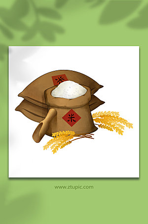 手绘丰收水稻稻谷米粒插画设计