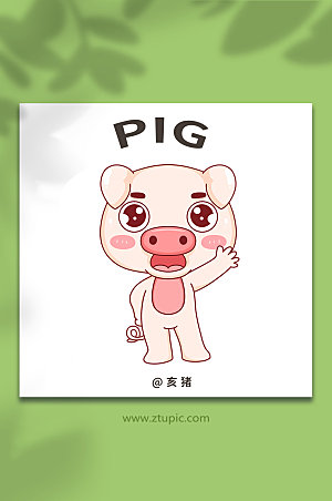 扁平猪十二生肖动物插画设计