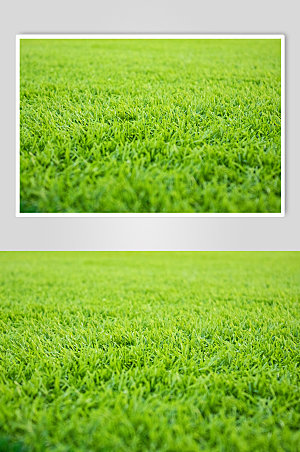 绿色高清草地草坪空背景图