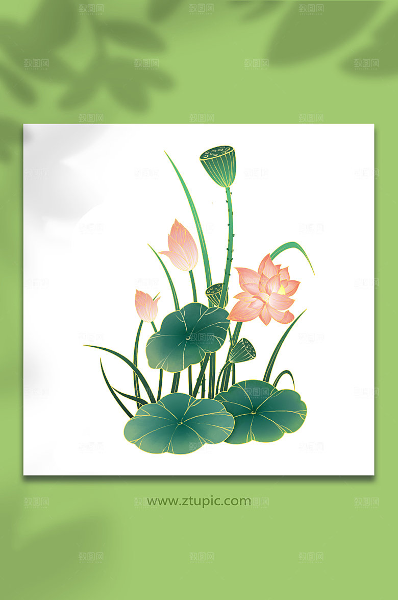 中式荷韵莲蓬国潮山水插画设计