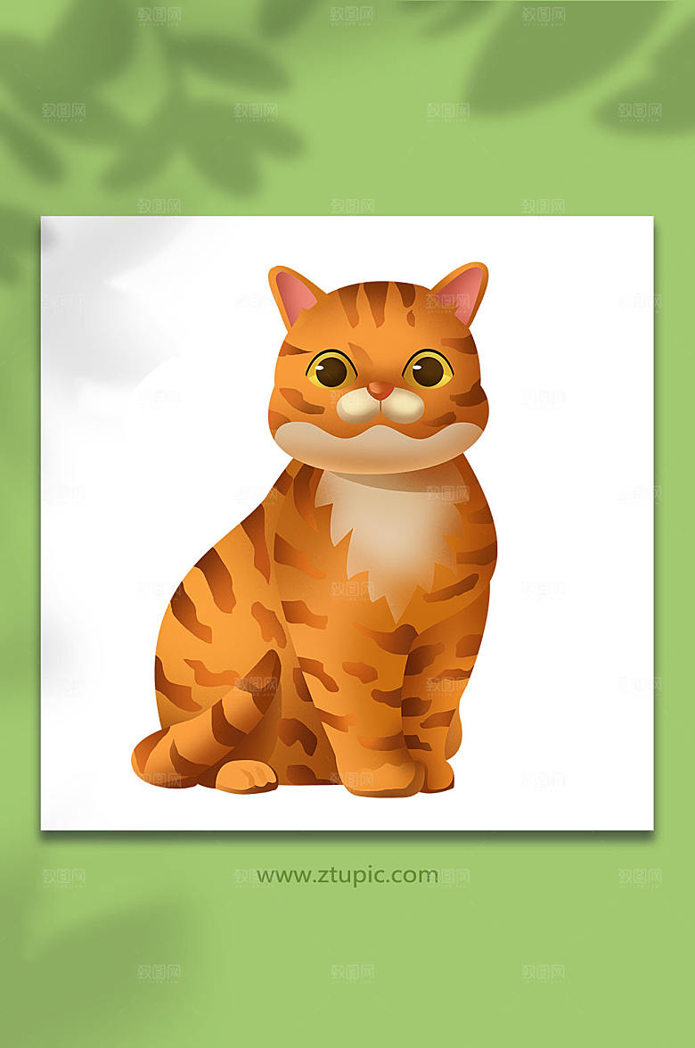 卡通胖橘猫宠物猫狗插画设计