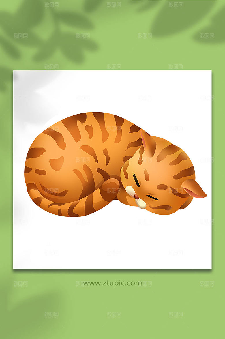 卡通胖橘猫宠物猫狗插画设计