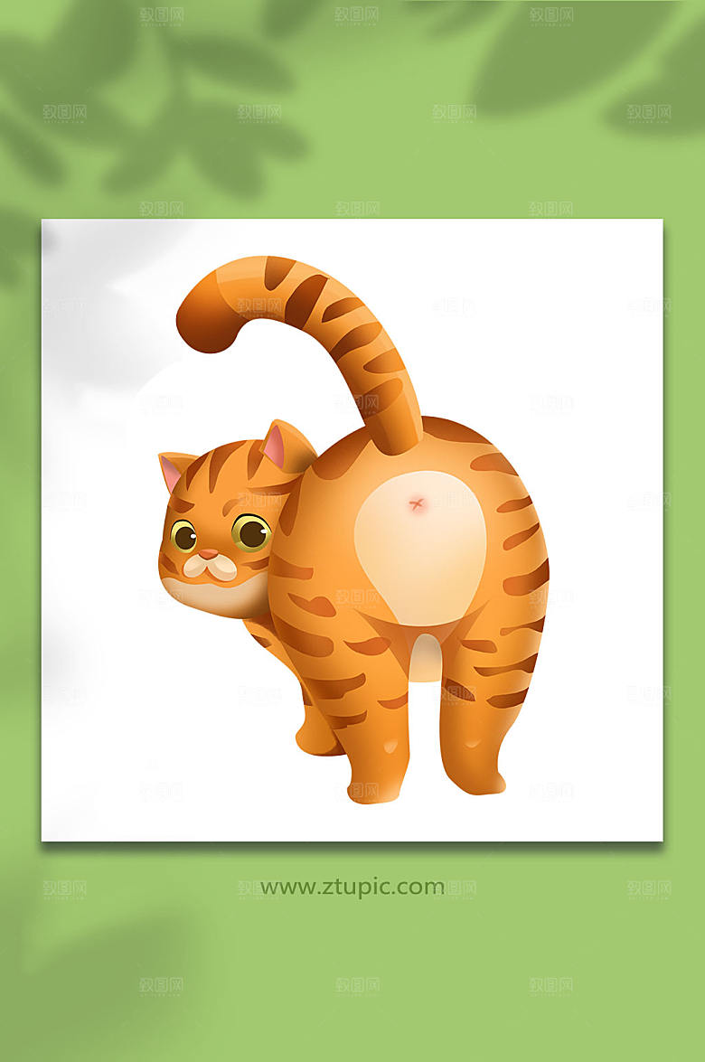 卡通胖橘猫宠物猫狗插画设计