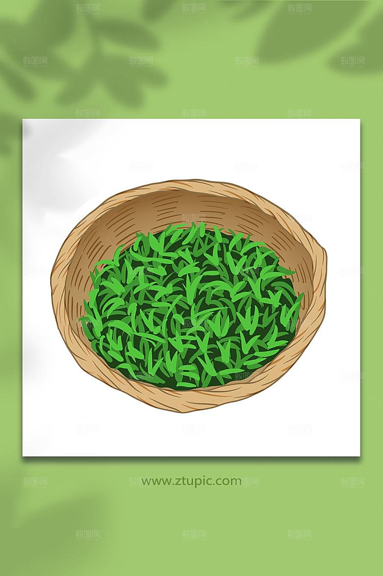 淡雅竹篓茶文化采茶叶插画设计
