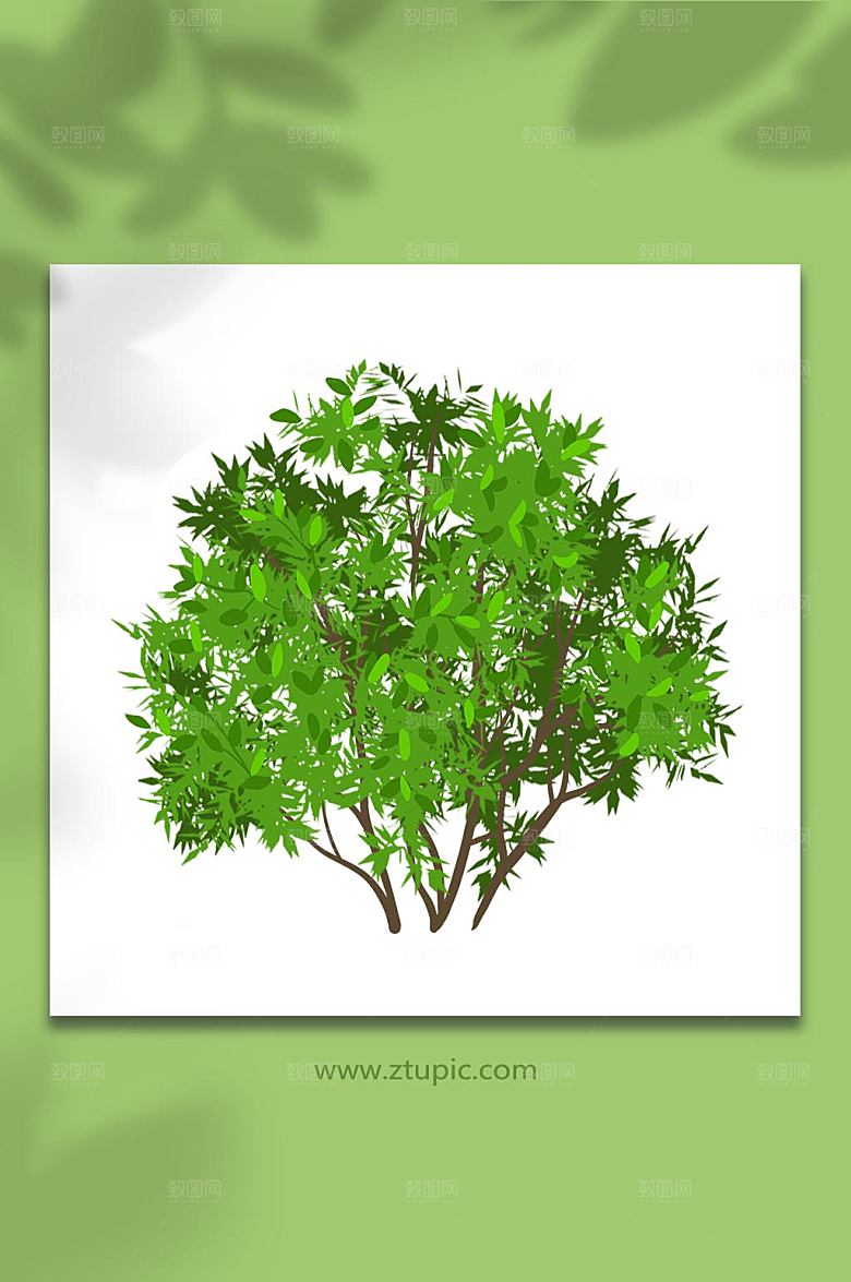 扁平茶文化茶树元素插画设计