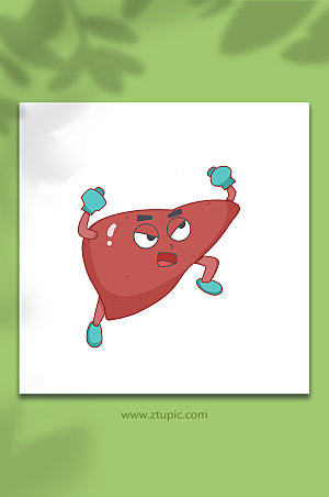 扁平肝部拟人器官插画设计